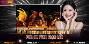 Đá gà NET88