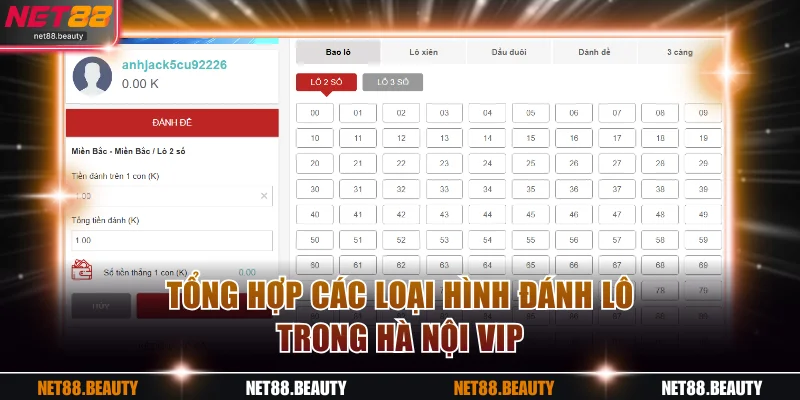 Tổng hợp các loại hình đánh lô Vip trong XSHN
