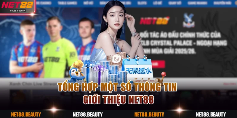 Tổng hợp một số thông tin giới thiệu NET88
